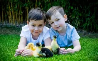 Pomohli jste nemocné Denise s péčí o syny