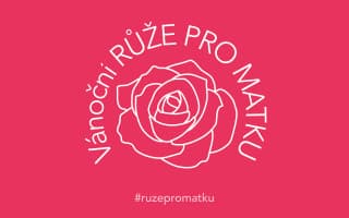 Vánoční RŮŽE PRO MATKU