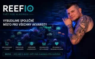 PODPOŘTE REEFIO – VYBUDUJME SPOLEČNĚ MÍSTO PRO VŠECHNY AKVARISTY