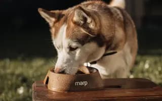 MARP Plná miska