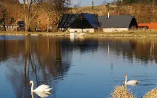 Pomozte roztočit vodní kolo pro Dašovský mlýn, patron Petr Bende