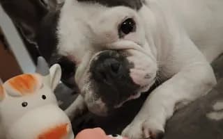 Zachráňte Marilyn bojující s rakovinou