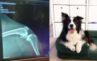 Pomohli jste Meggie k uzdravení