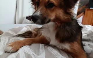 Pomohli jste Sourince uzdravit se a znovu pomáhat dětem