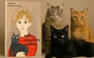Podpořte vydání knihy Mami, kočky a autisty nepředěláš