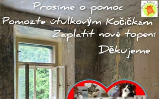 Pomohli jste S.O.S. útulkovým kočičkám