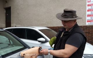 Bionická protéza k padesátinám