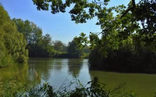 Dotisk knihy ,,Křížem krážem lesů, hor a vod"