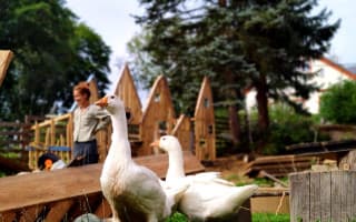 Pojďme Lesní klub Farma u Kosího potoka posunout zase o krok vpřed