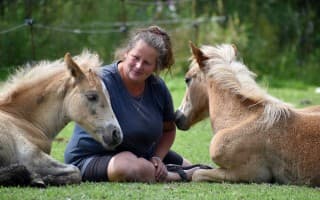 Pomoc pro EkoFarmu Karlovice zasaženou povodněmi
