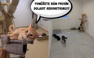 Pomohli jste kočenám zrekonstruovat pokojíčky